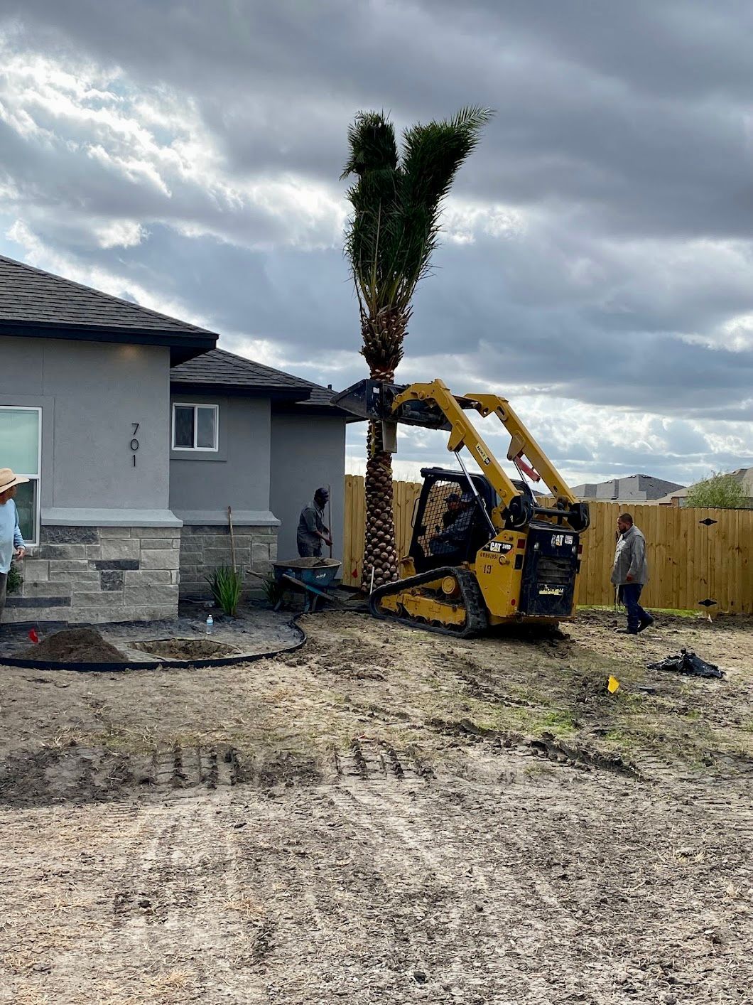 A forklift is carrying a palm tree in front of a house.