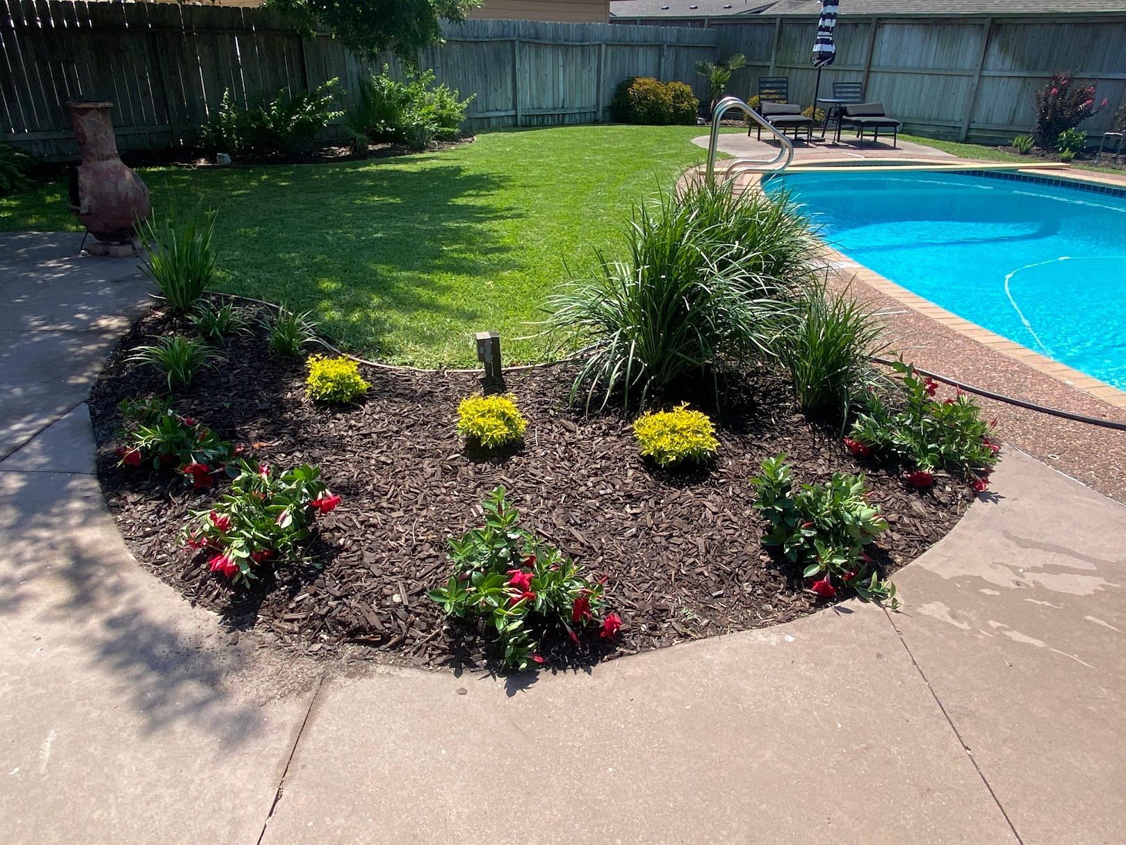 A swimming pool in a backyard with a circular garden in the middle