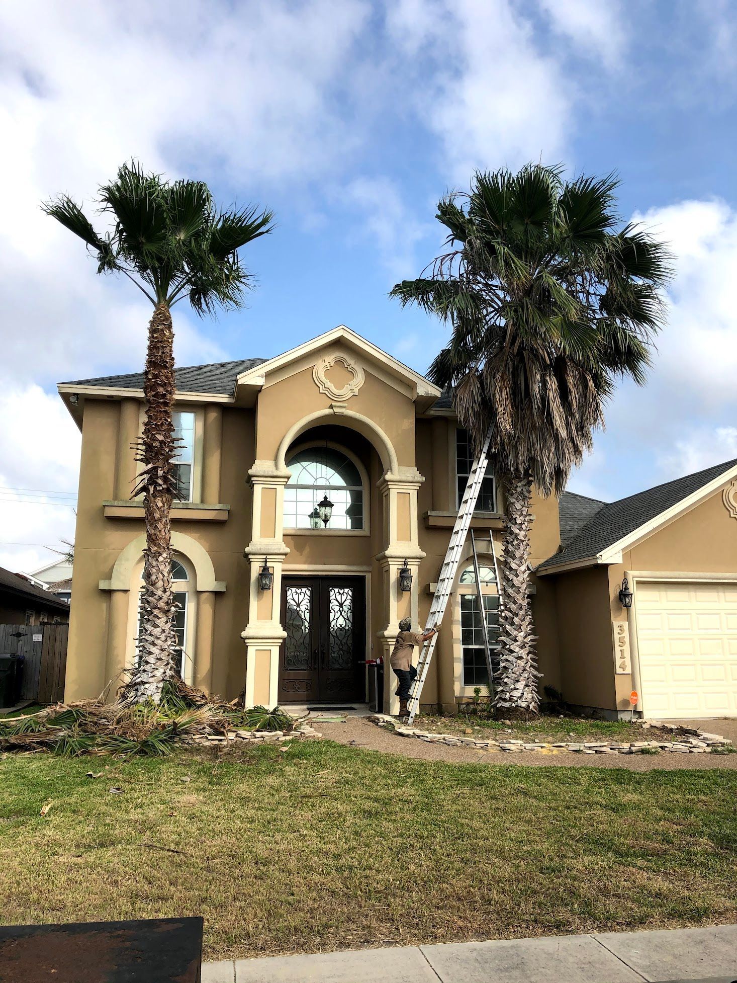 A man is standing on a ladder in front of a large house with palm trees.