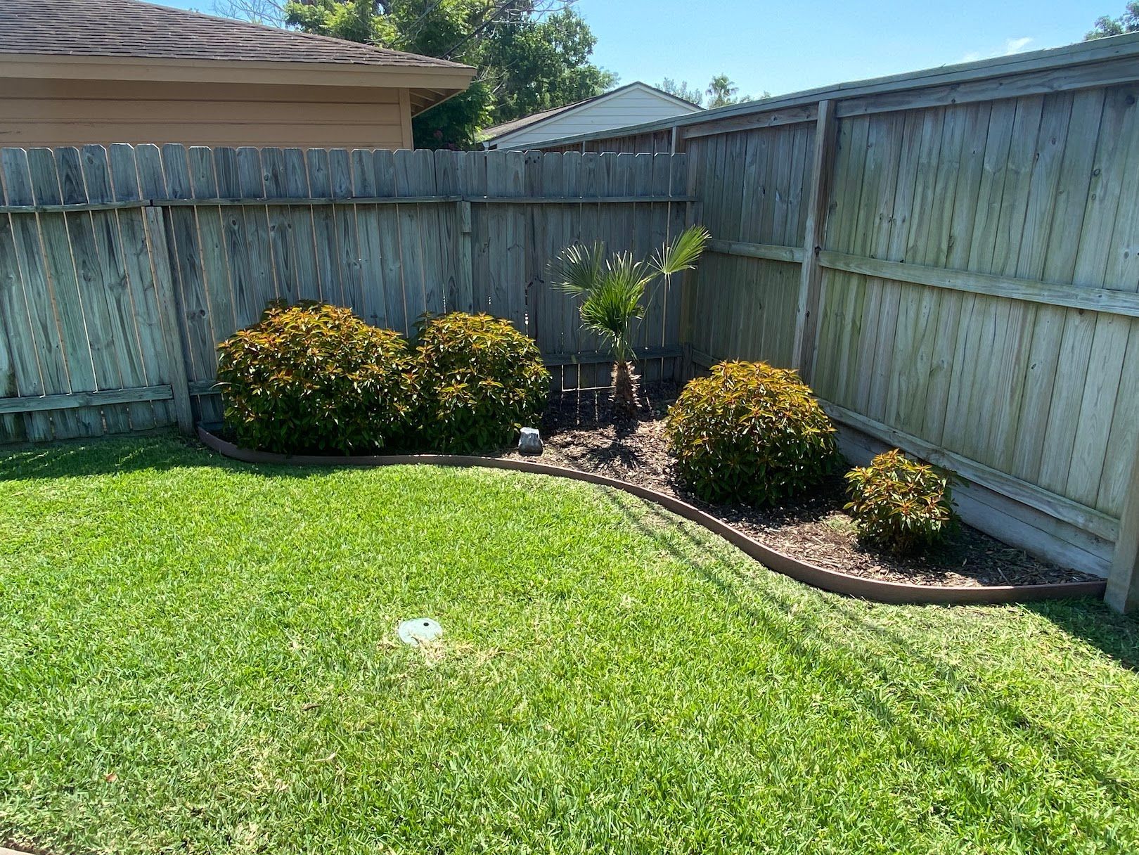 A backyard with a wooden fence and a lush green lawn.