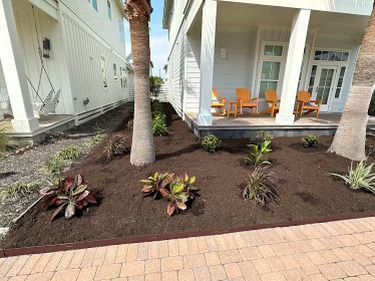 A house with a porch and a lot of plants in front of it.