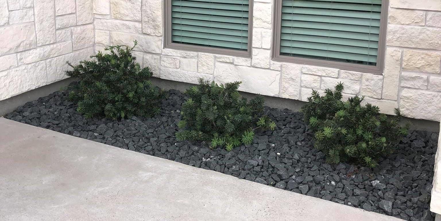 A garden bed with plants and rocks in front of a brick building.