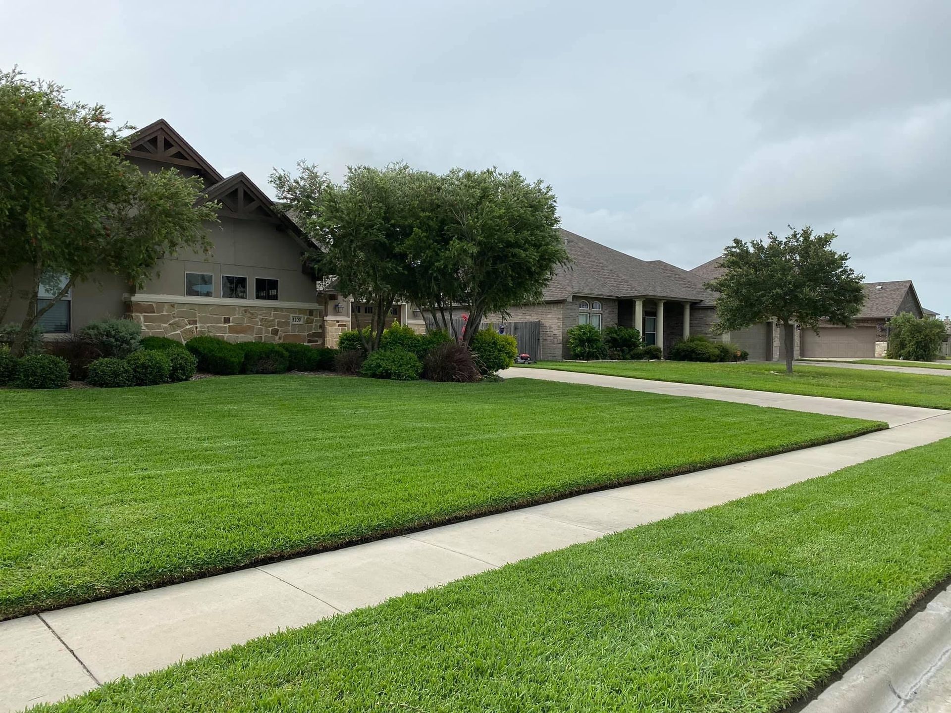 A house with a lush green lawn and a sidewalk in front of it.