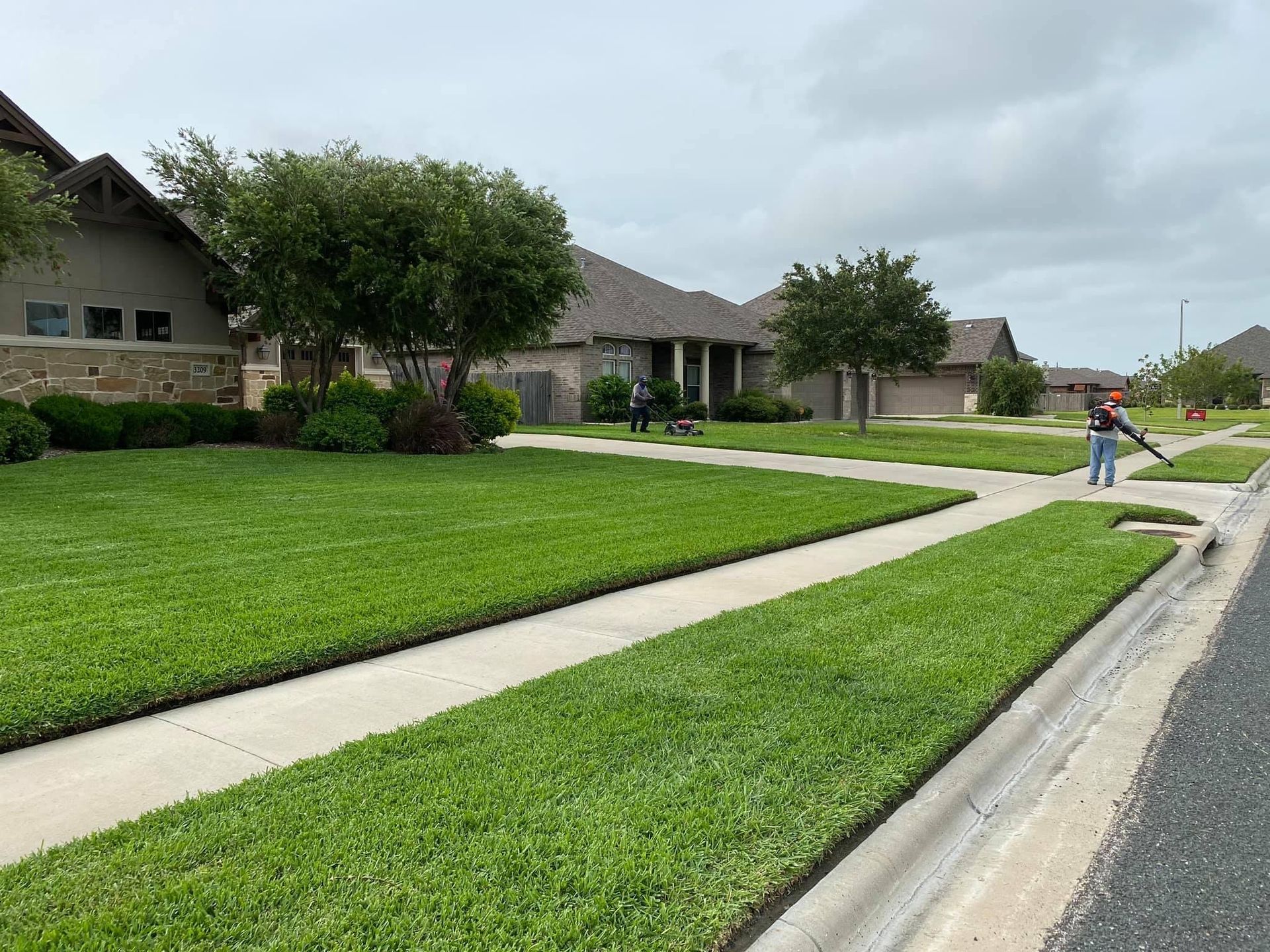 A man is cutting a lush green lawn in front of a house.