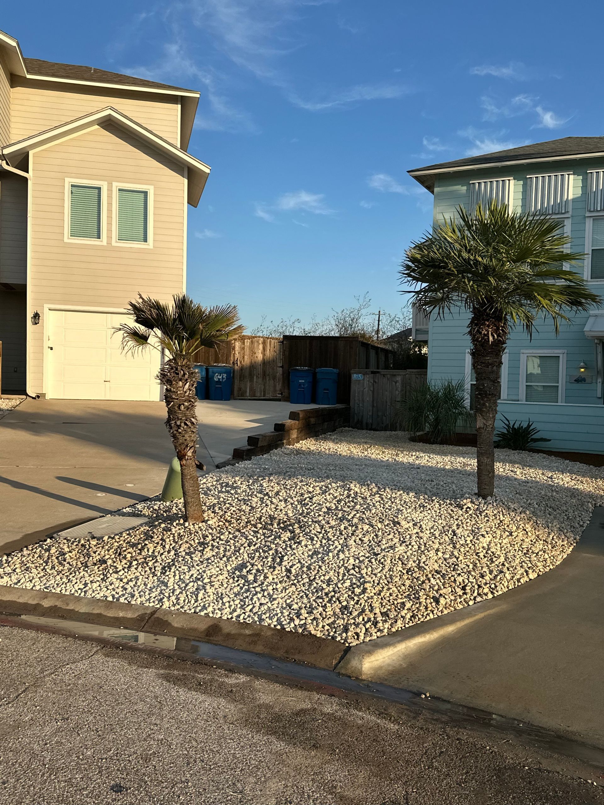 Two houses separated by a gravel yard with two small palm trees against a blue sky.