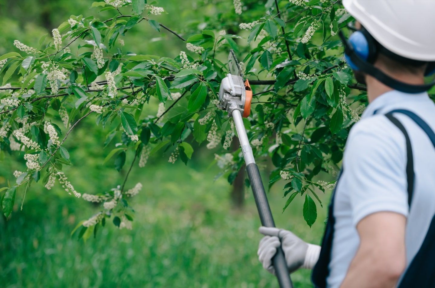 Tree Trimming & Removal