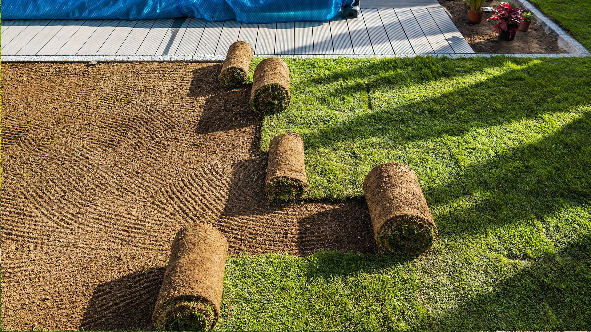 Laying sod on a lawn; rolls of grass on bare dirt and green grass.