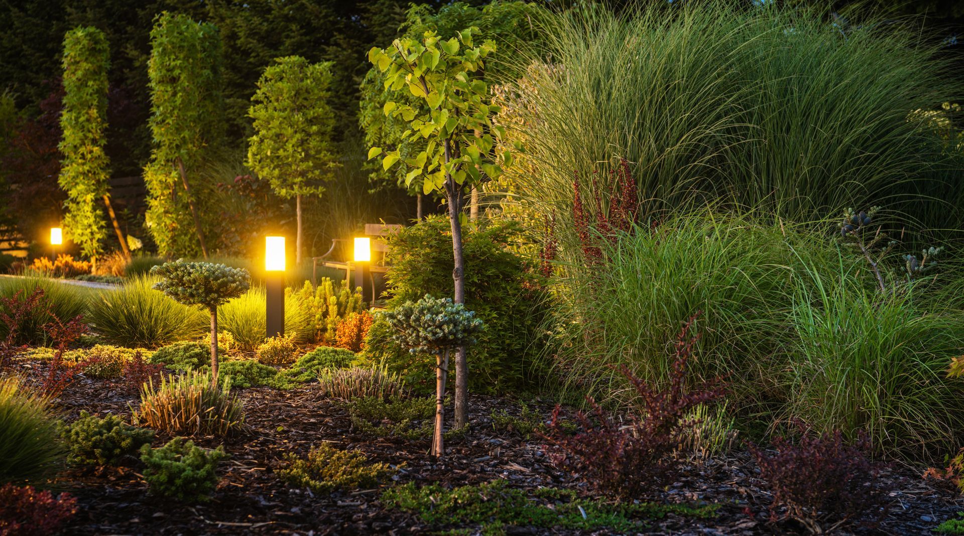 A garden is lit up at night with lots of trees and bushes.