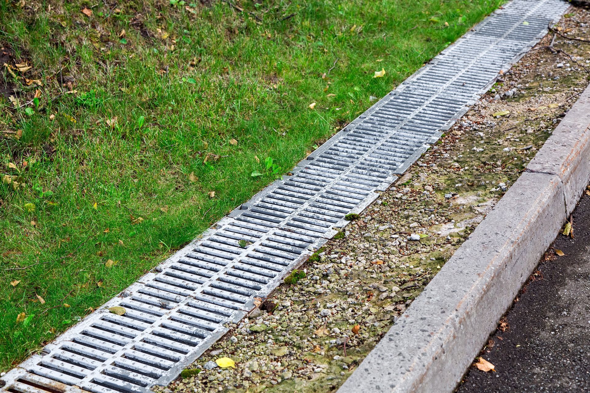 Drainage grate along a grassy roadside curb beside asphalt pavement