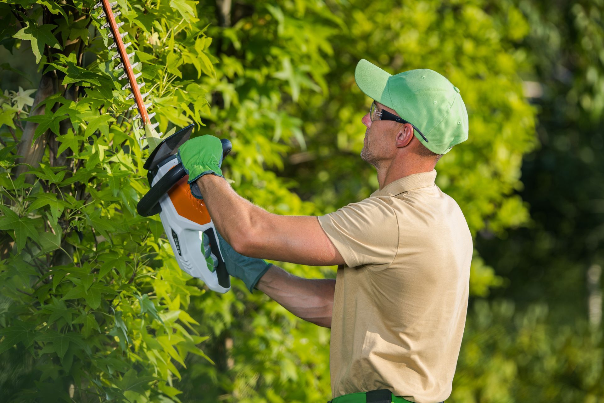 Man trimming a bush with a hedge trimmer; he wears green hat, gloves, and sunglasses.