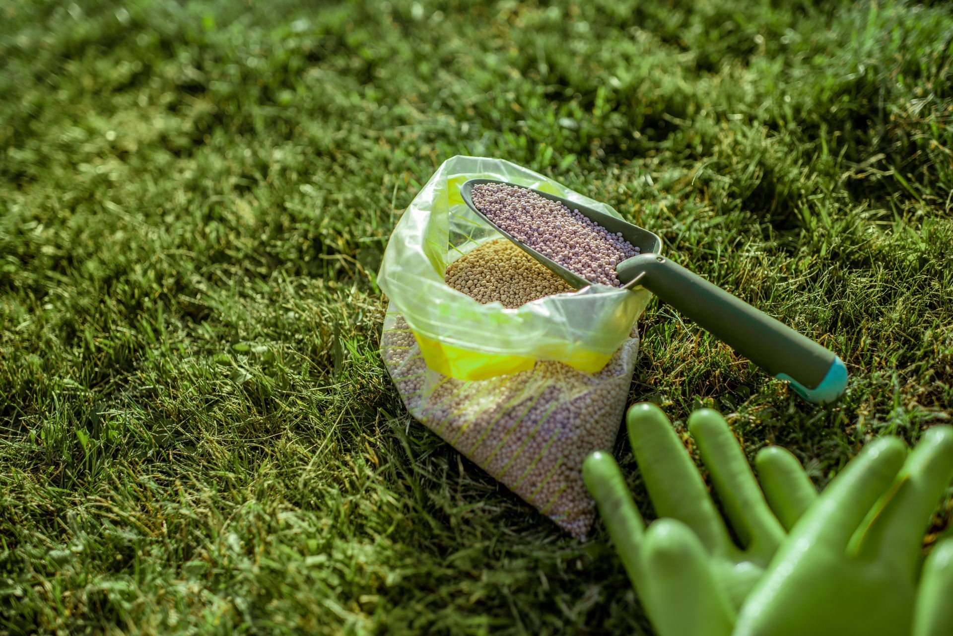 Gloved hands gardening with a trowel and seed packet on grass