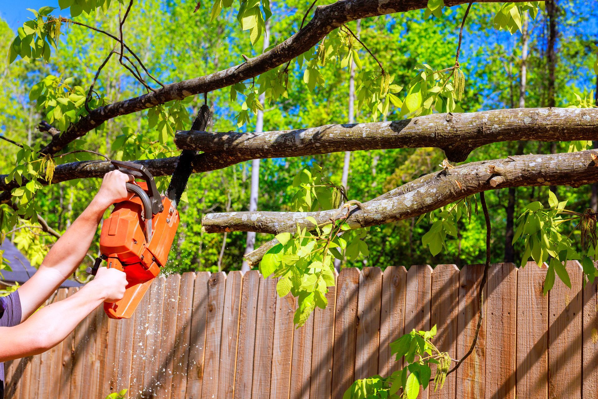 Person using an orange chainsaw to cut a tree branch over a wooden fence