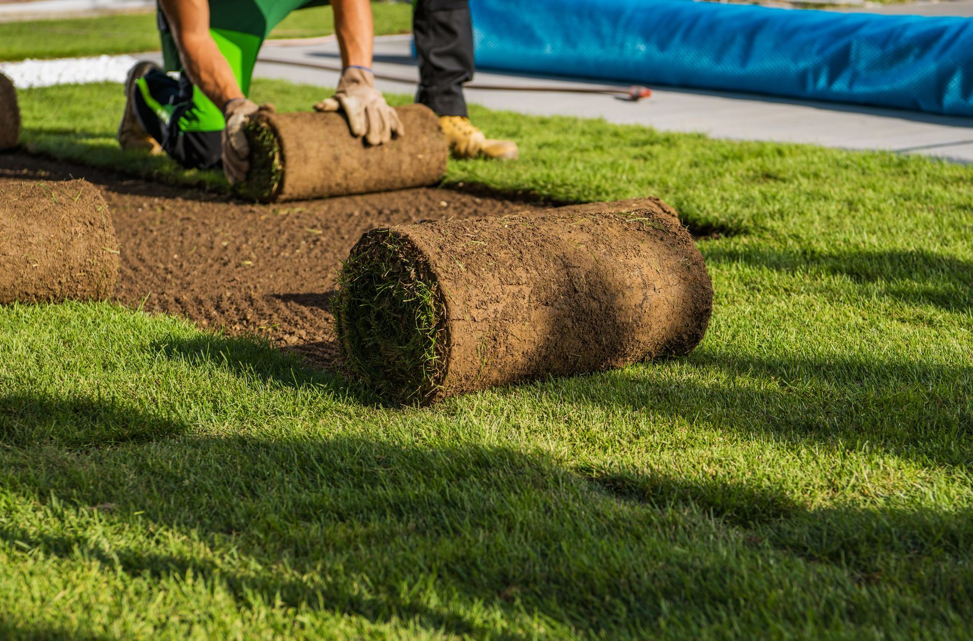 A worker kneeling on a lawn installs rolls of fresh green sod into the soil.