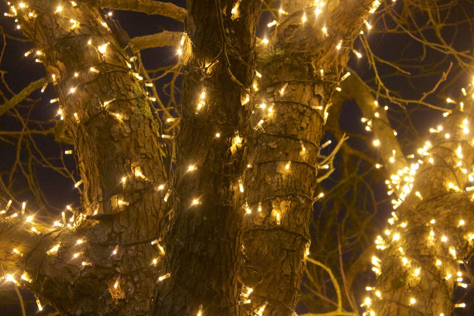 christmas lighting installation corpus christi