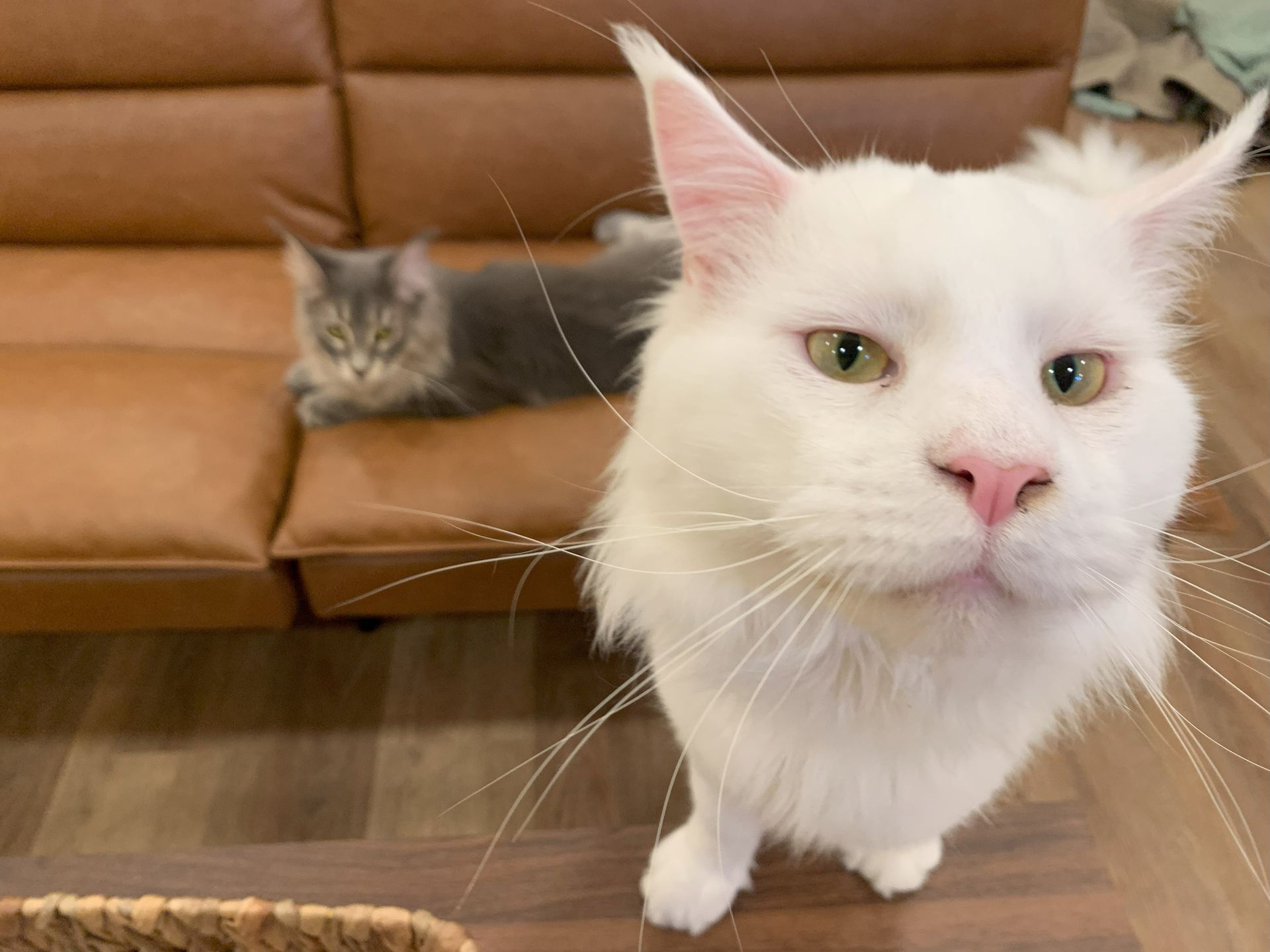 TERMS OF SALE terms-of-sale