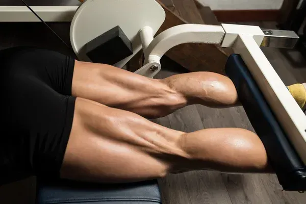 hamstrings