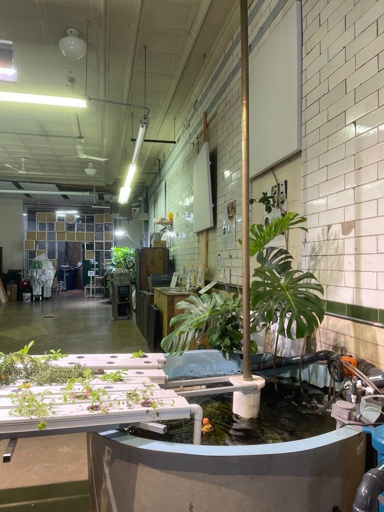 A large room with a pond and plants in it