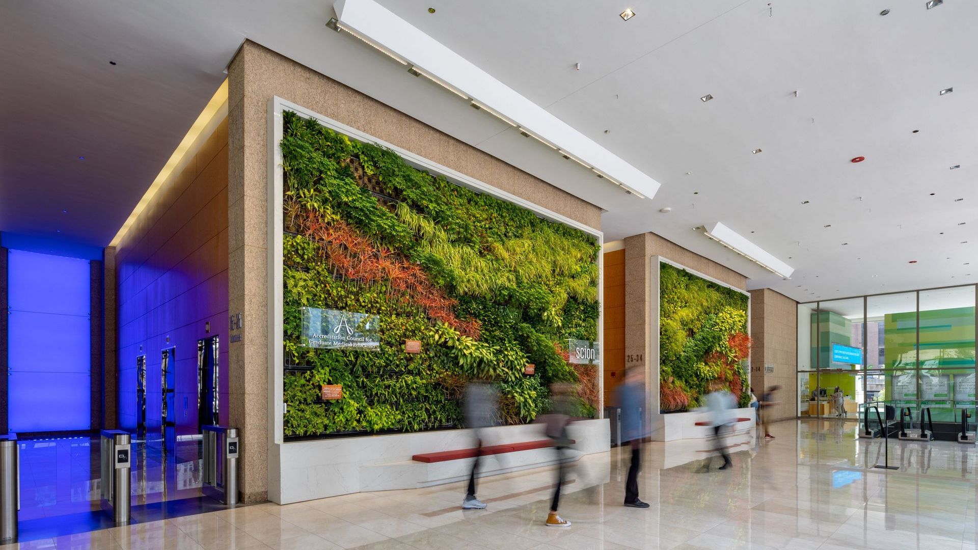 A lobby with a green wall and people walking in it.
