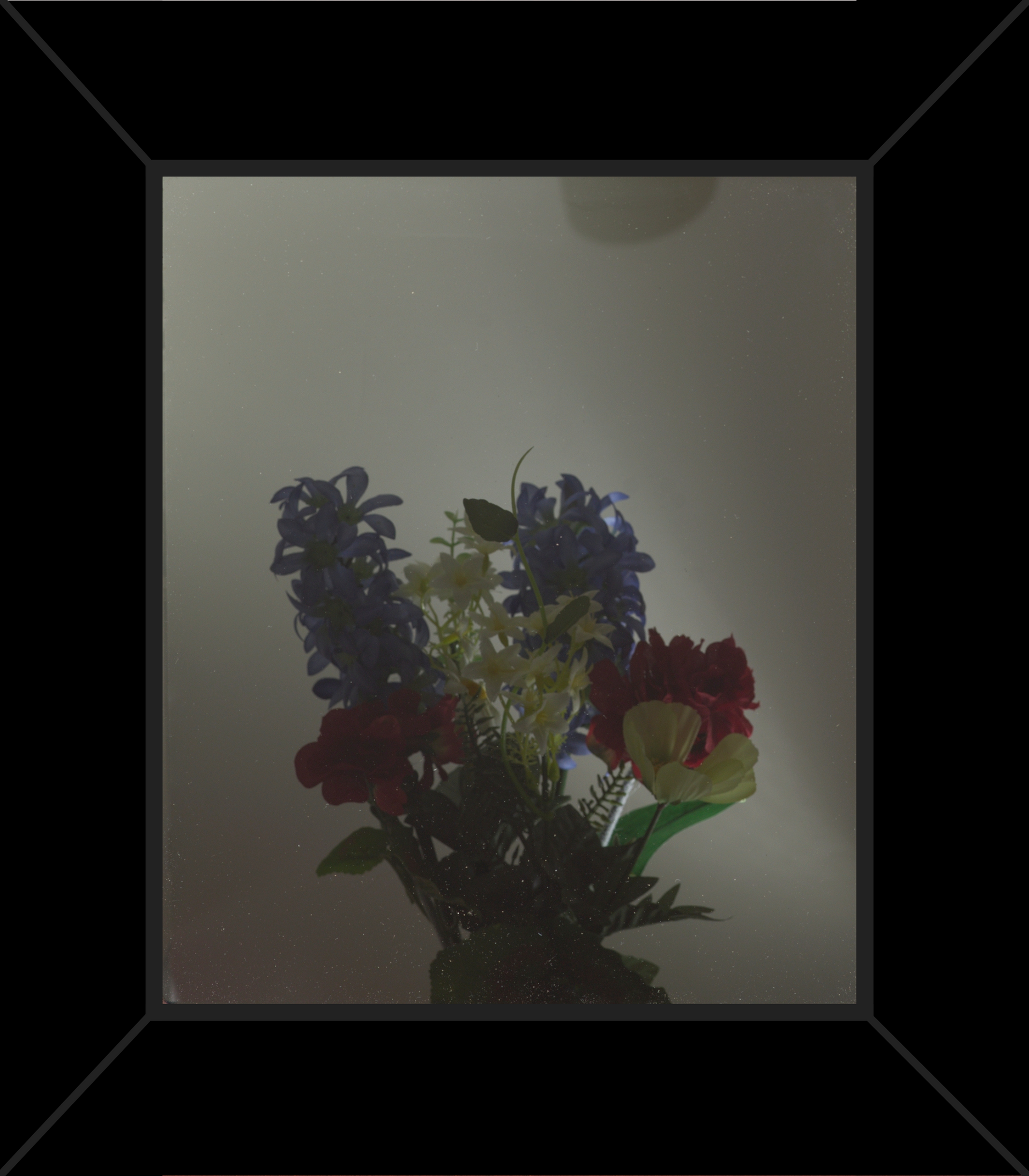 A picture of flowers in a black frame