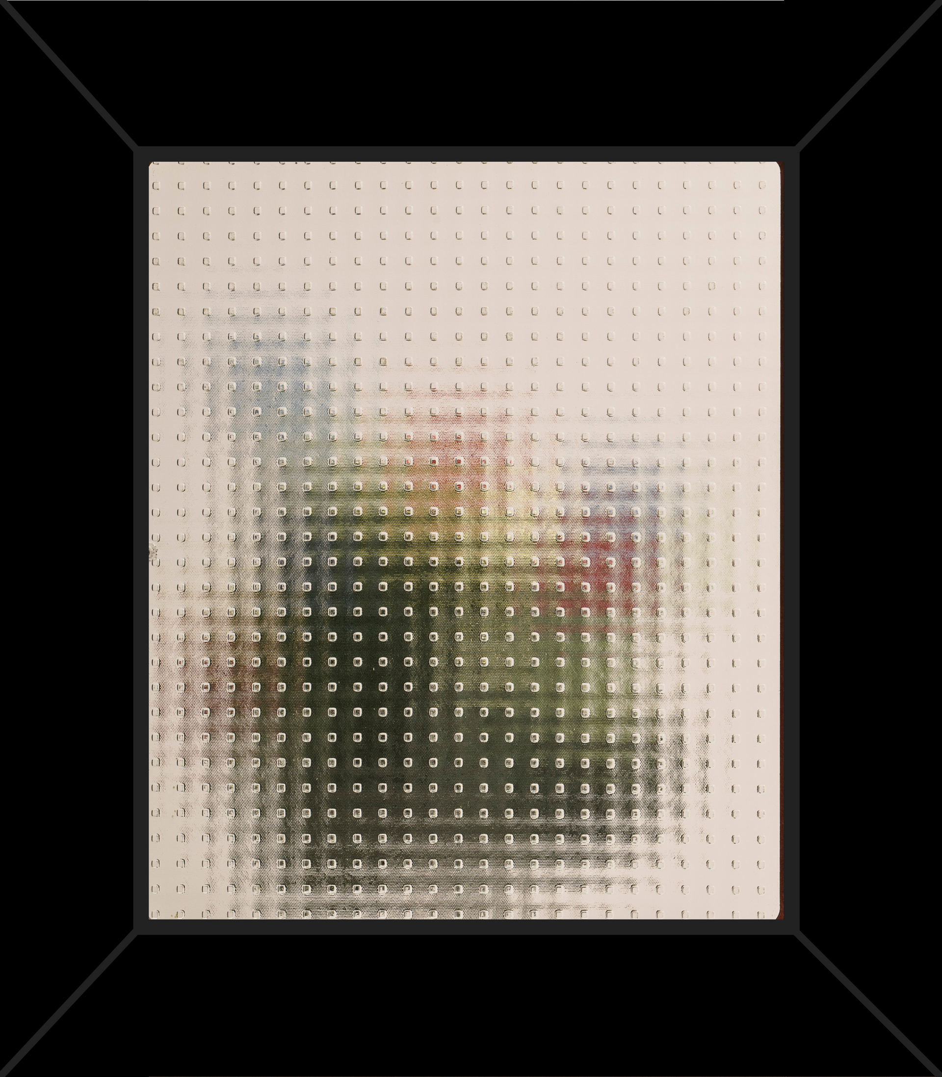 A picture of a plant in a black frame