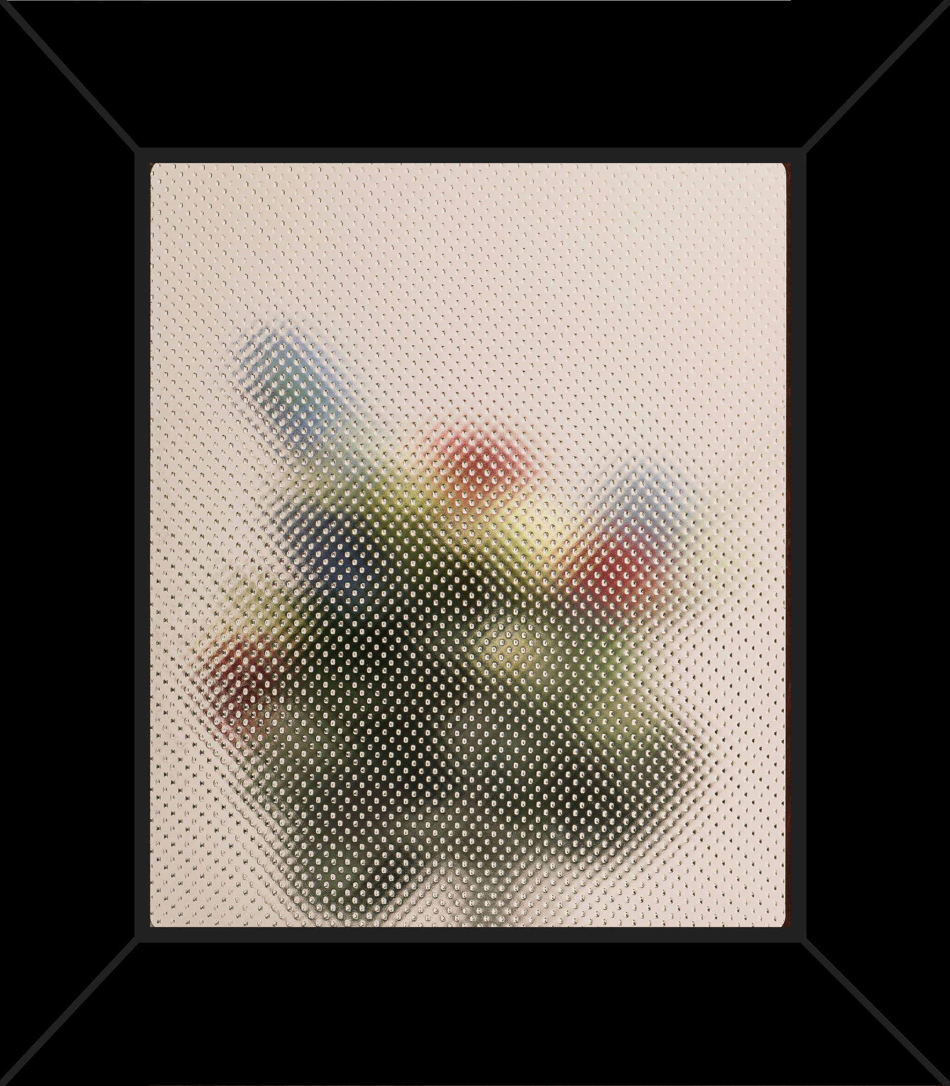A picture of a plant in a black frame
