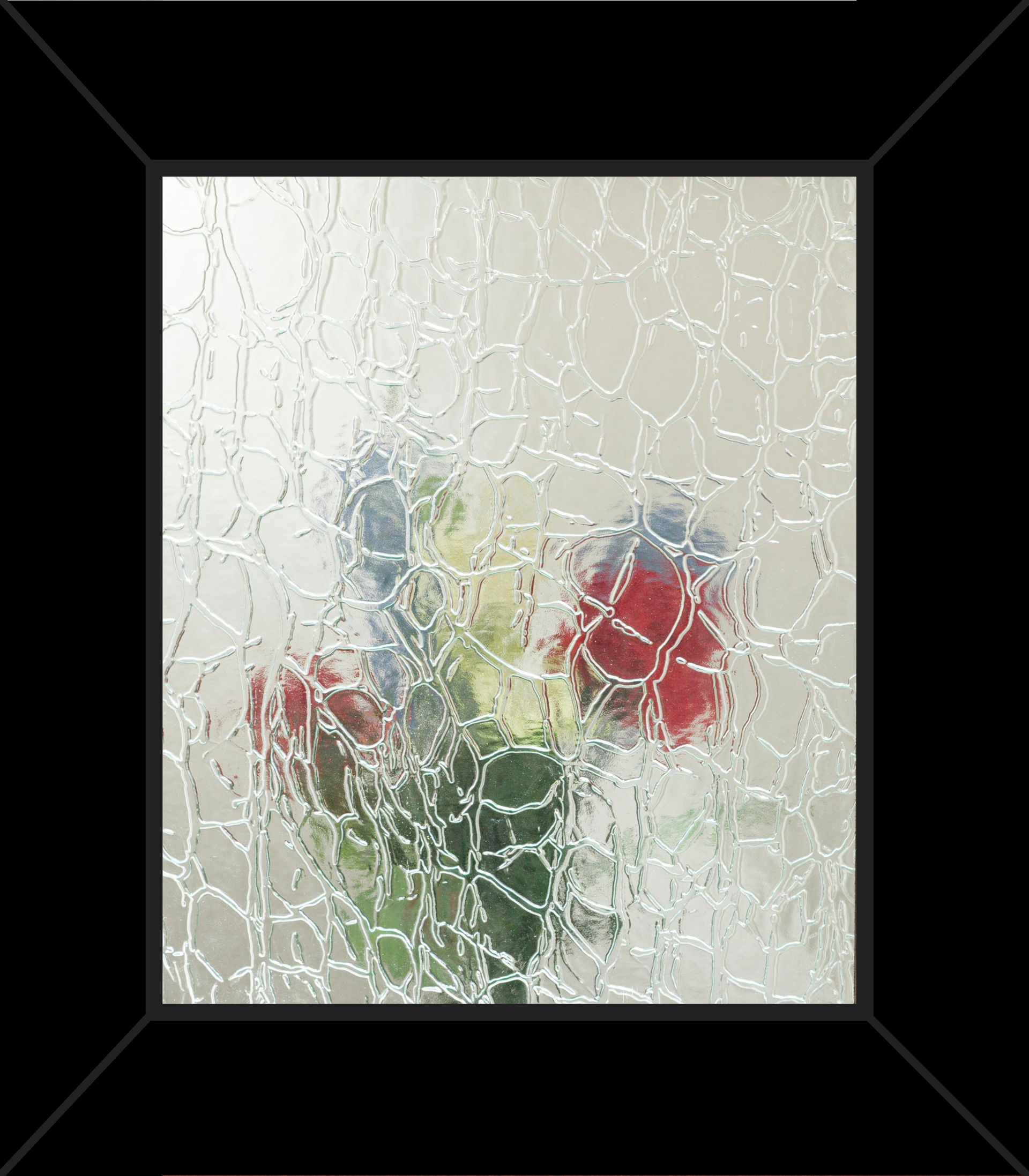 A picture of flowers behind a glass window in a black frame.