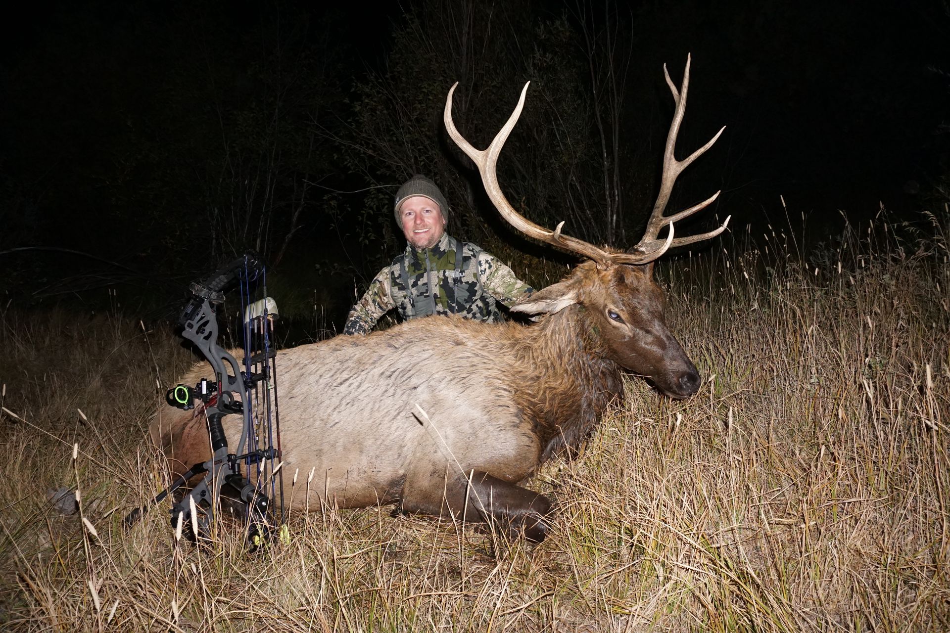 Elk Gallery | Walker Outfitting, LLC | SW MT