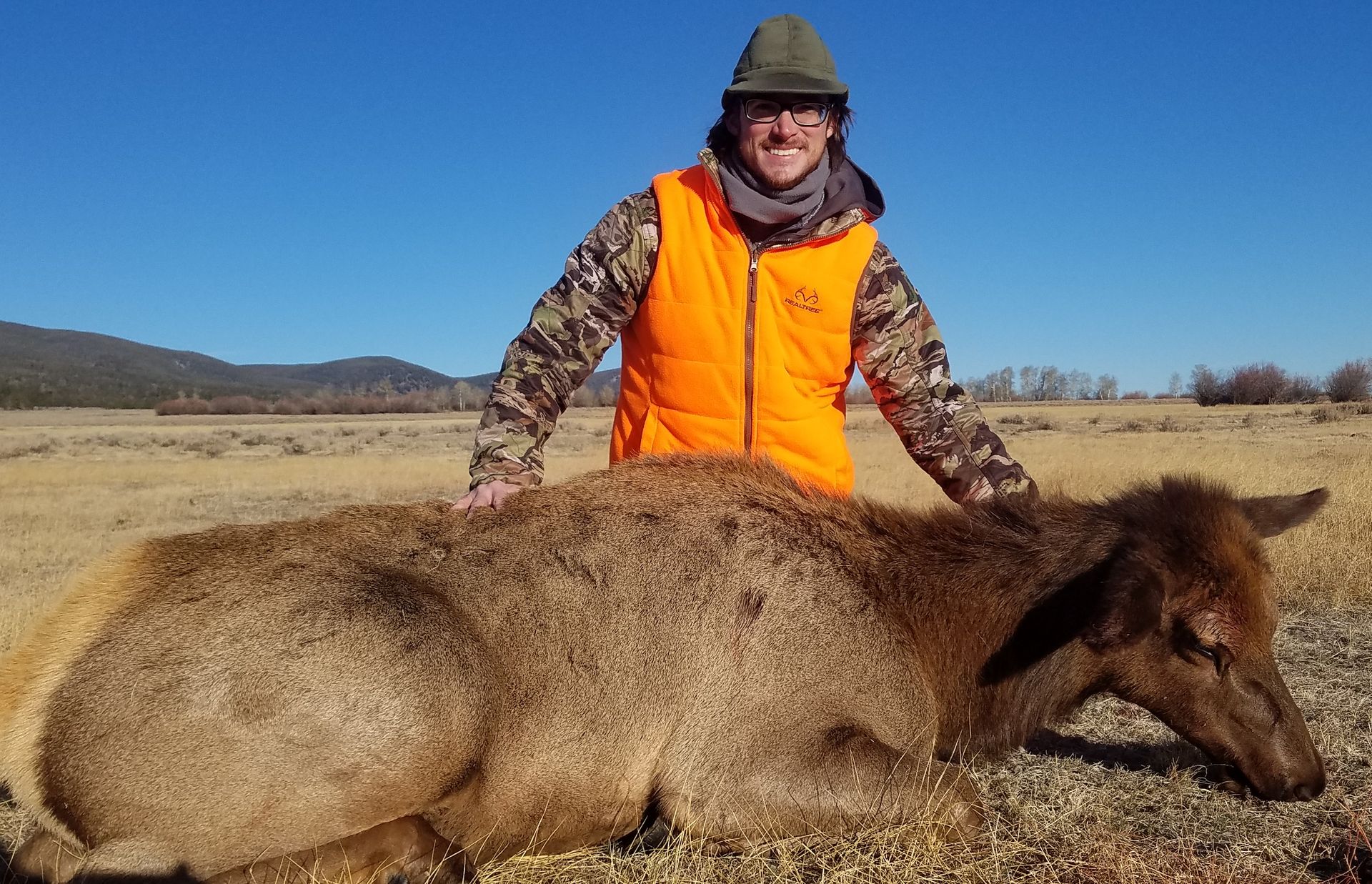 Elk Gallery | Walker Outfitting, LLC | SW MT