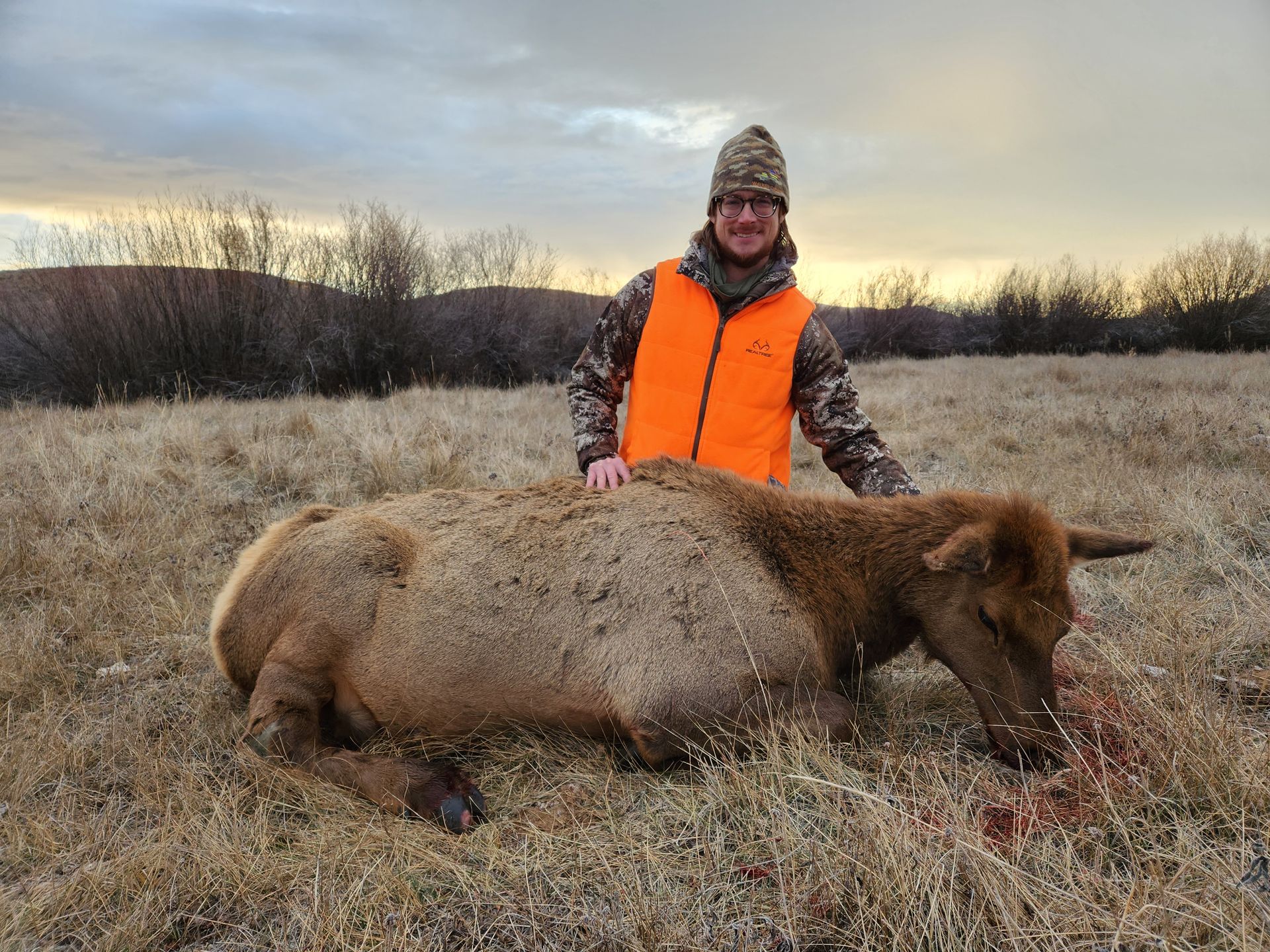 Elk Gallery | Walker Outfitting, LLC | SW MT