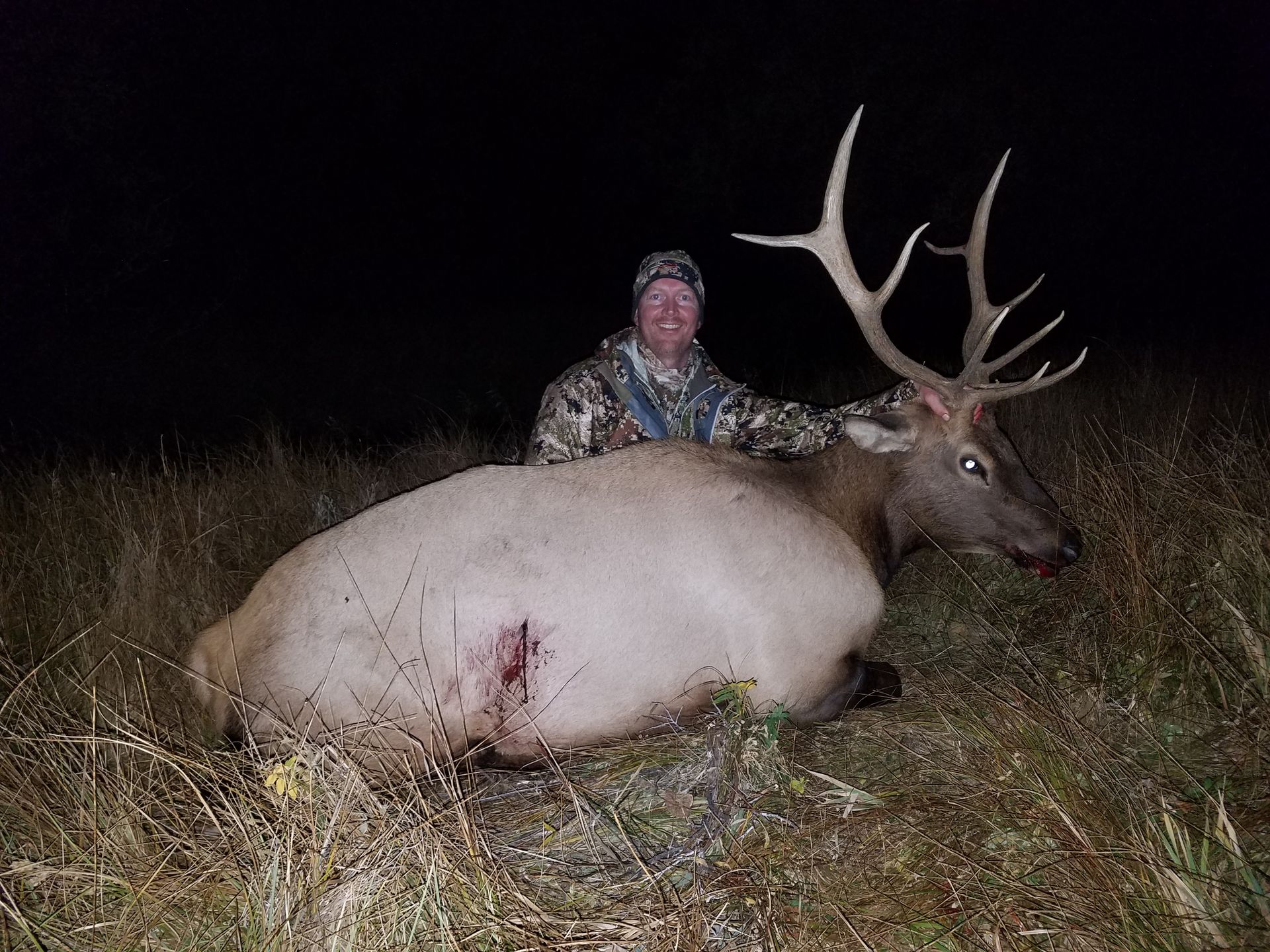 Elk Springerville Elk Gallery | Walker Outfitting, LLC | SW MT