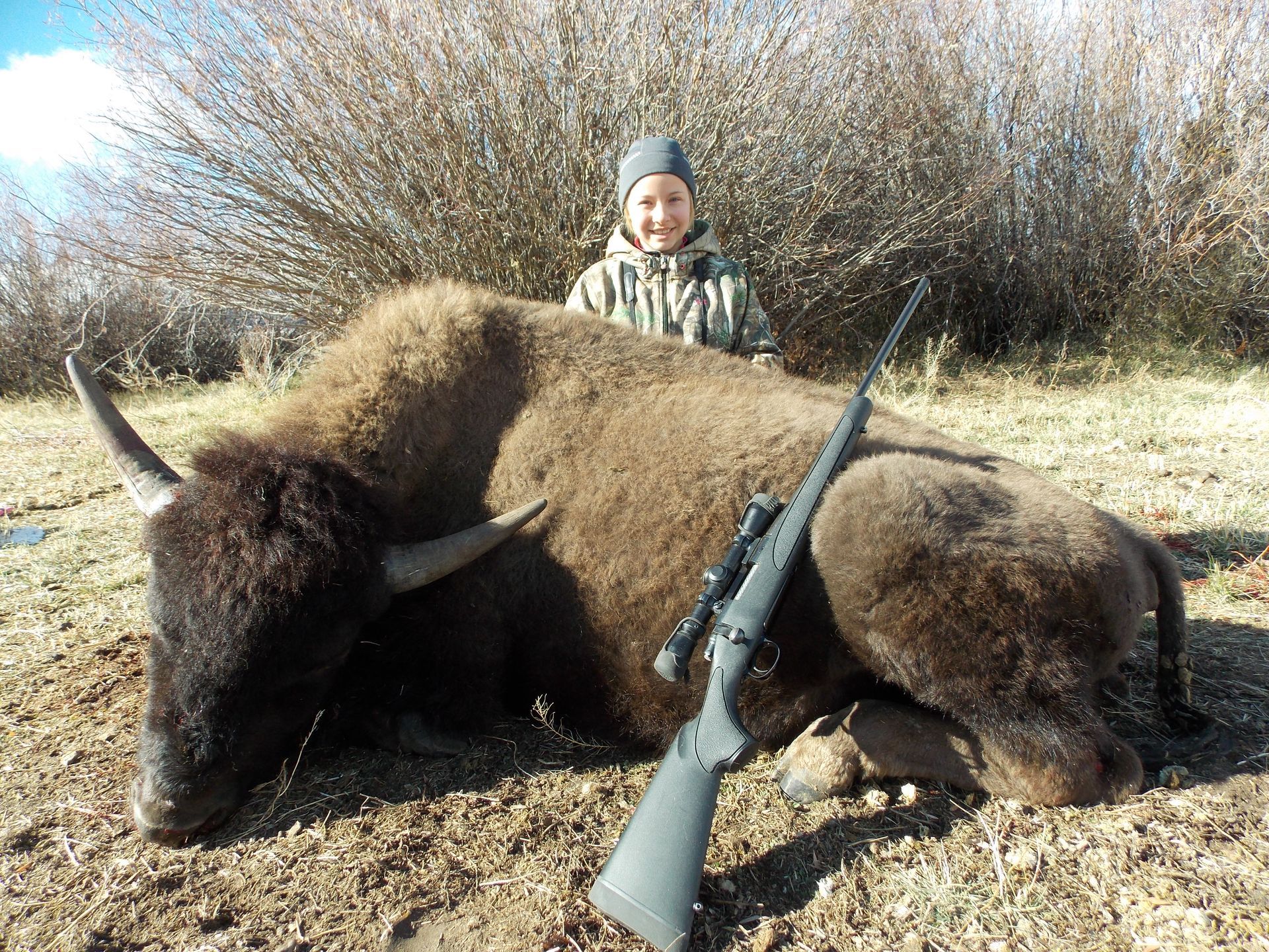 Elk Gallery Image