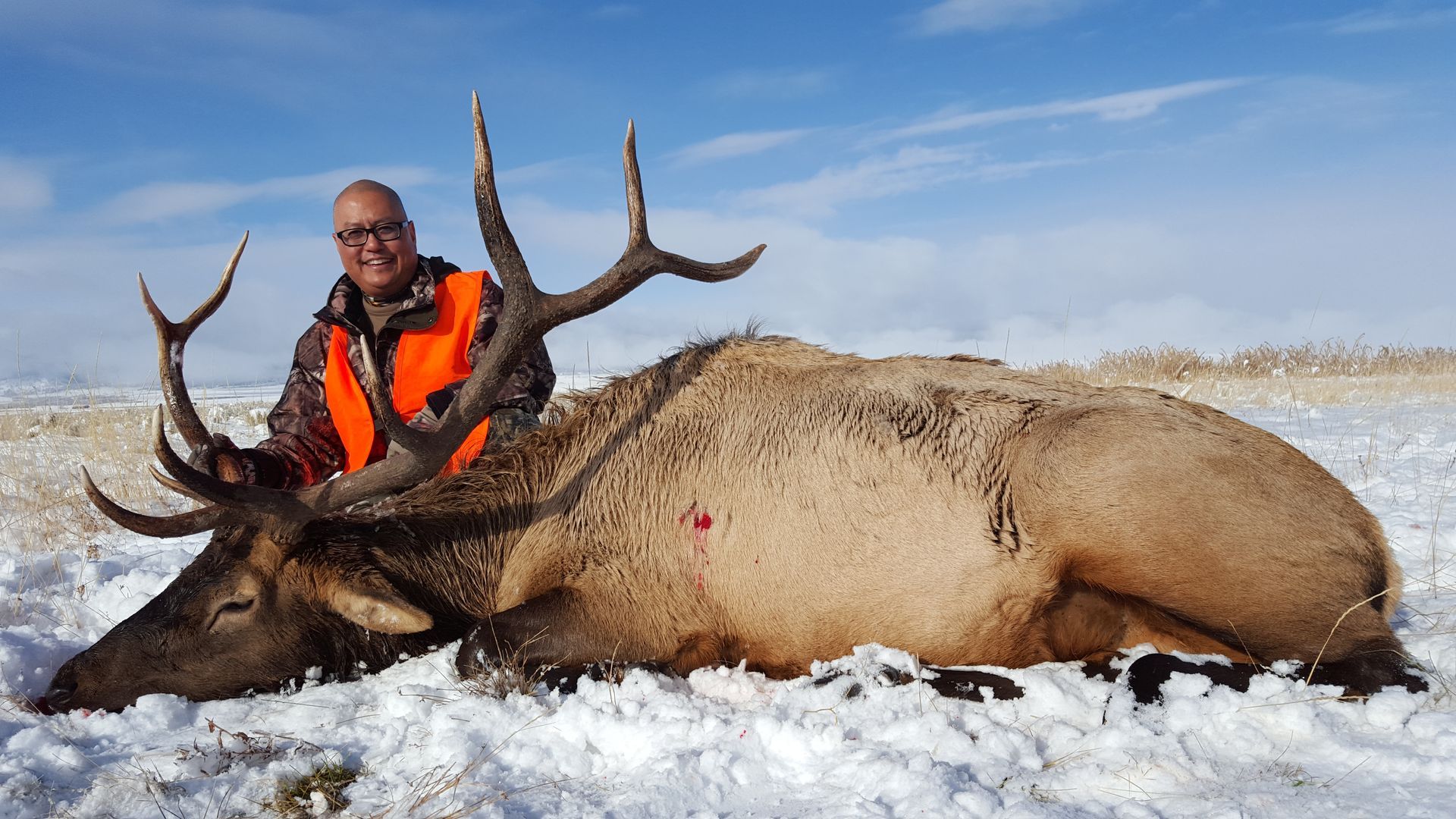 Elk Gallery Image