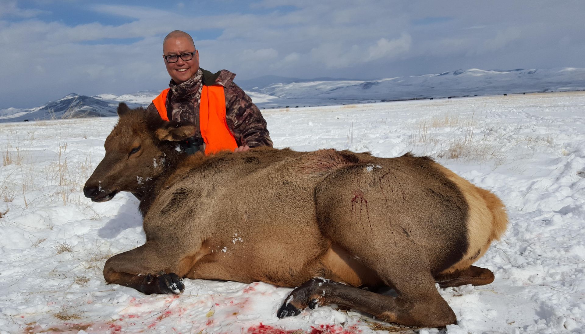 Elk Gallery Image