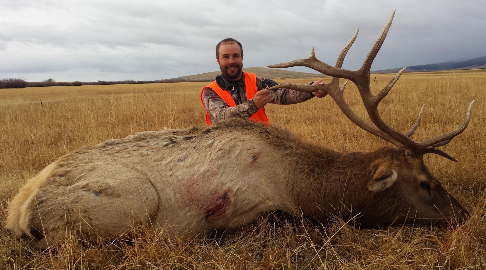 Elk Gallery Image