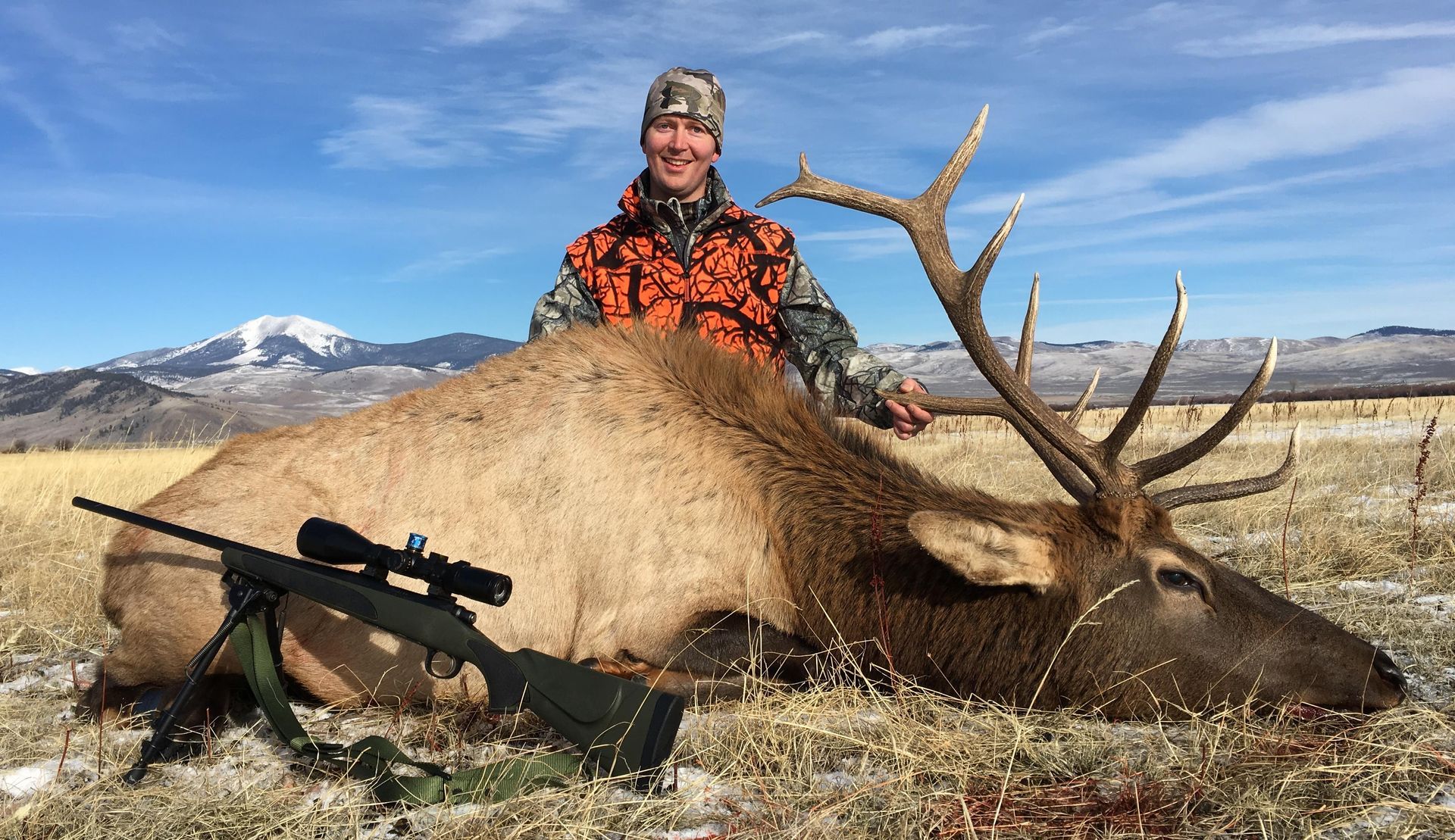 Elk Gallery Image
