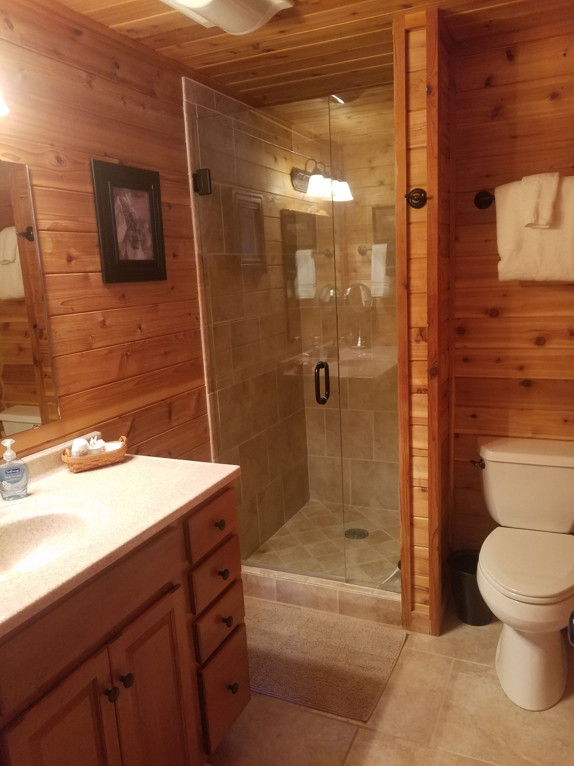 A bathroom with a toilet , sink , mirror and shower.
