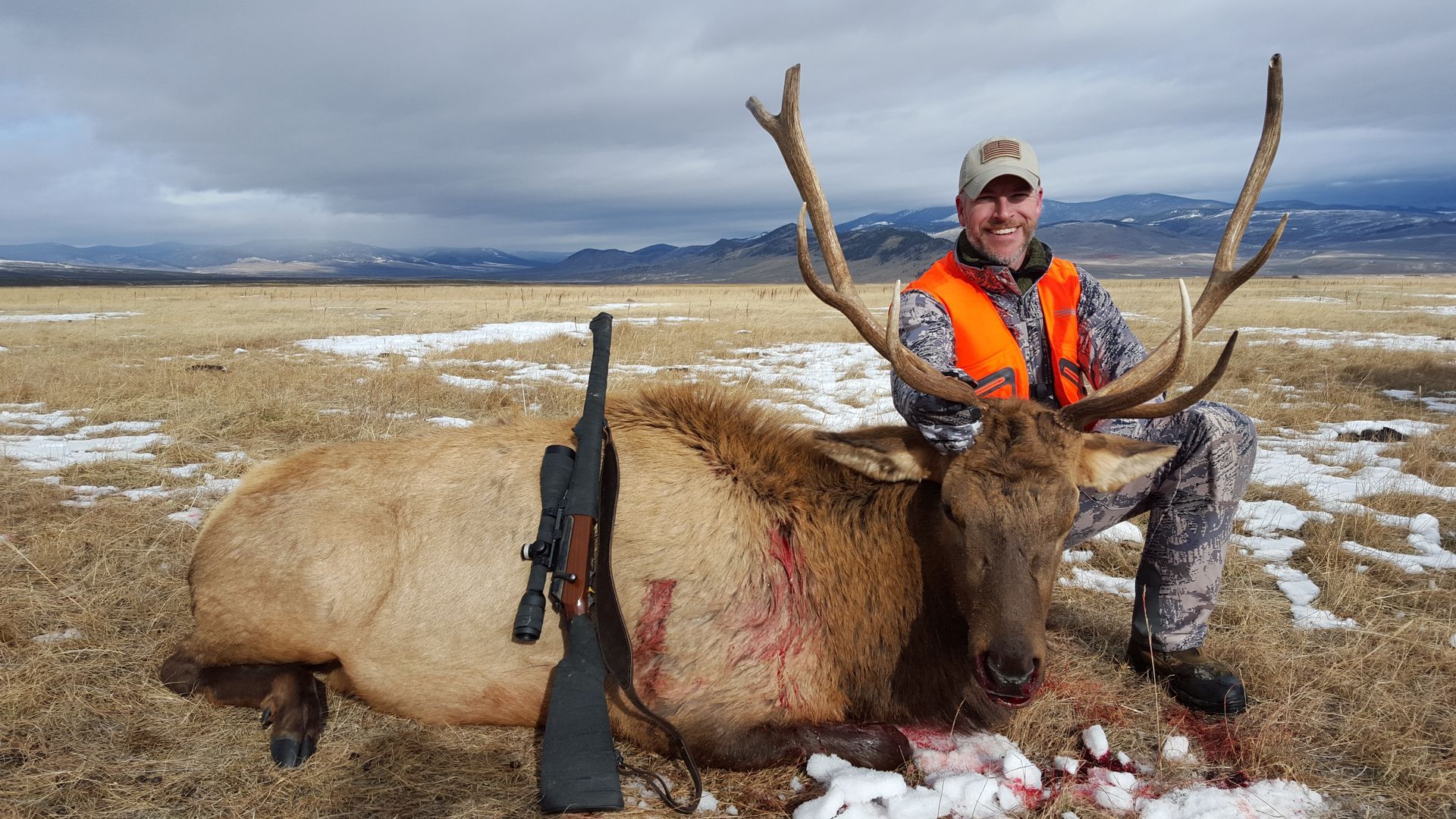 Elk Gallery Image