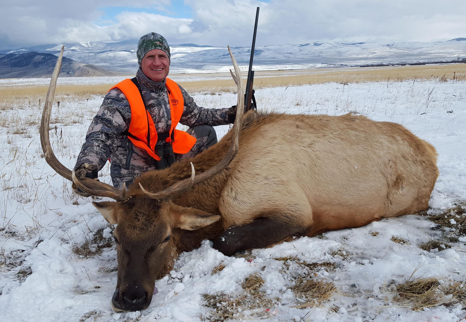 Elk Gallery Image