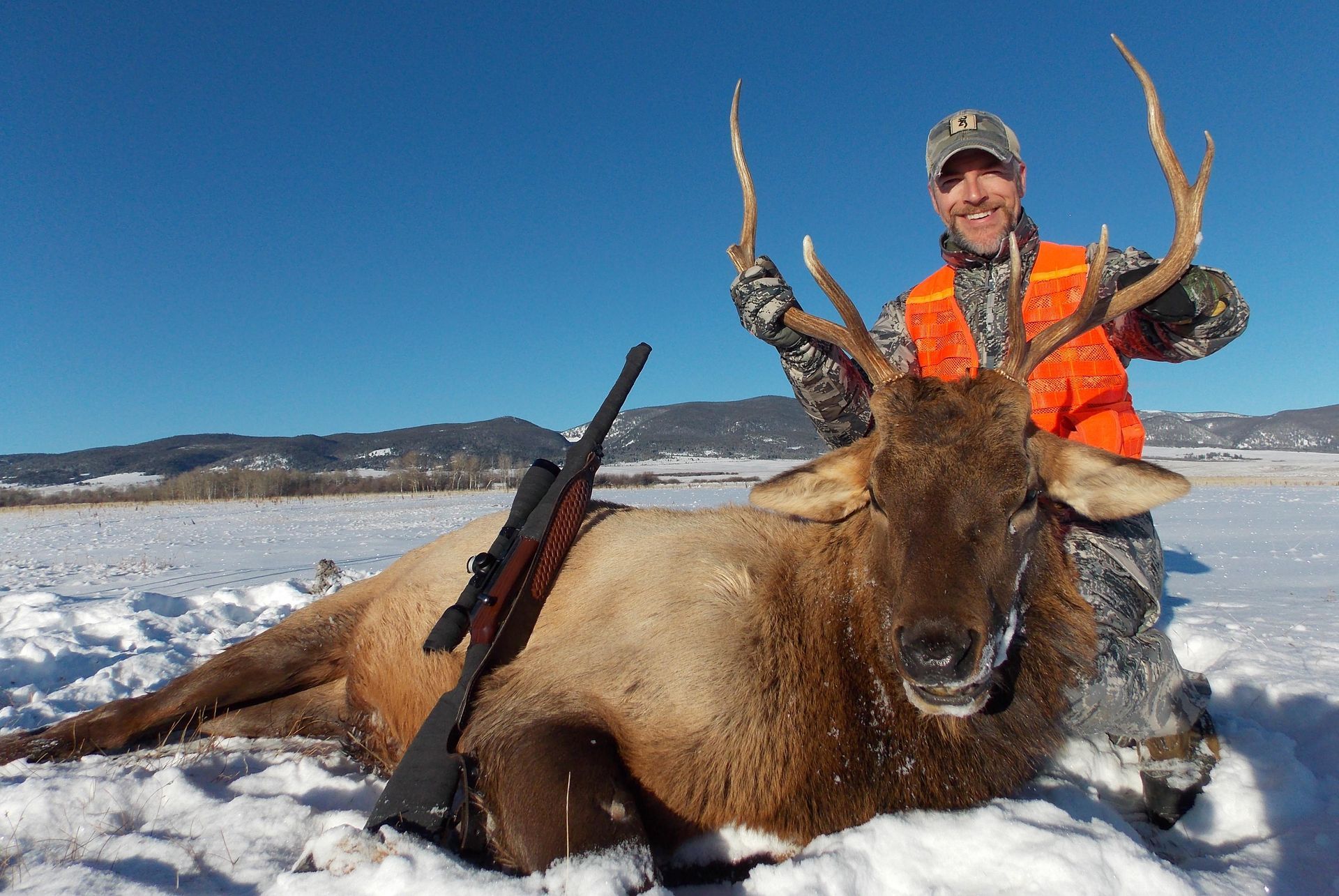 Elk Gallery Image