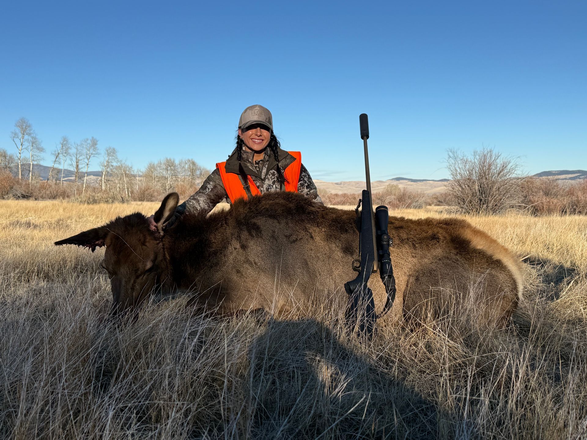 Elk Gallery Image