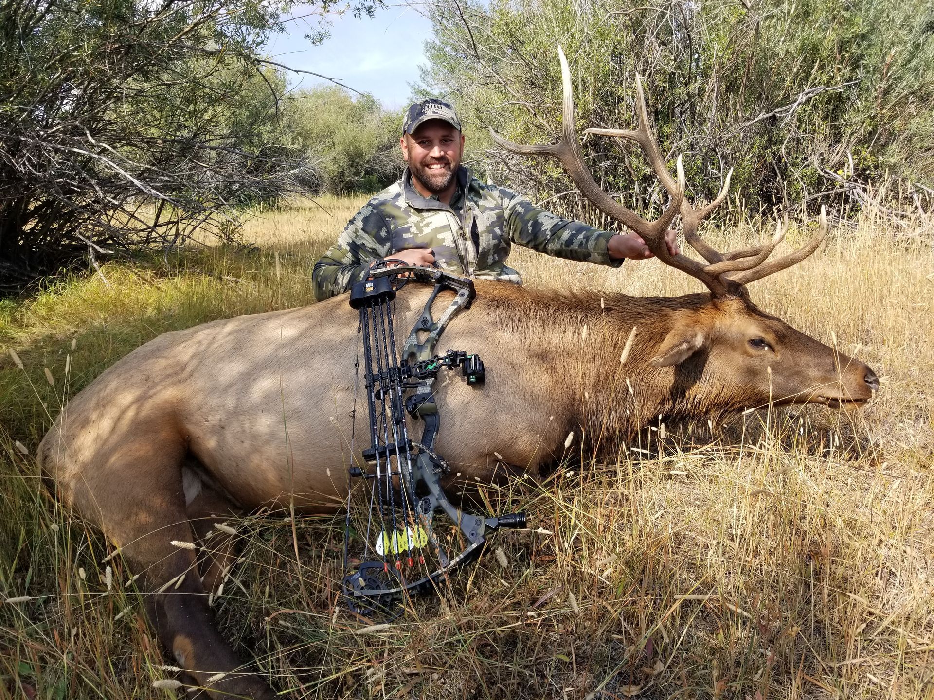 Elk Gallery Image