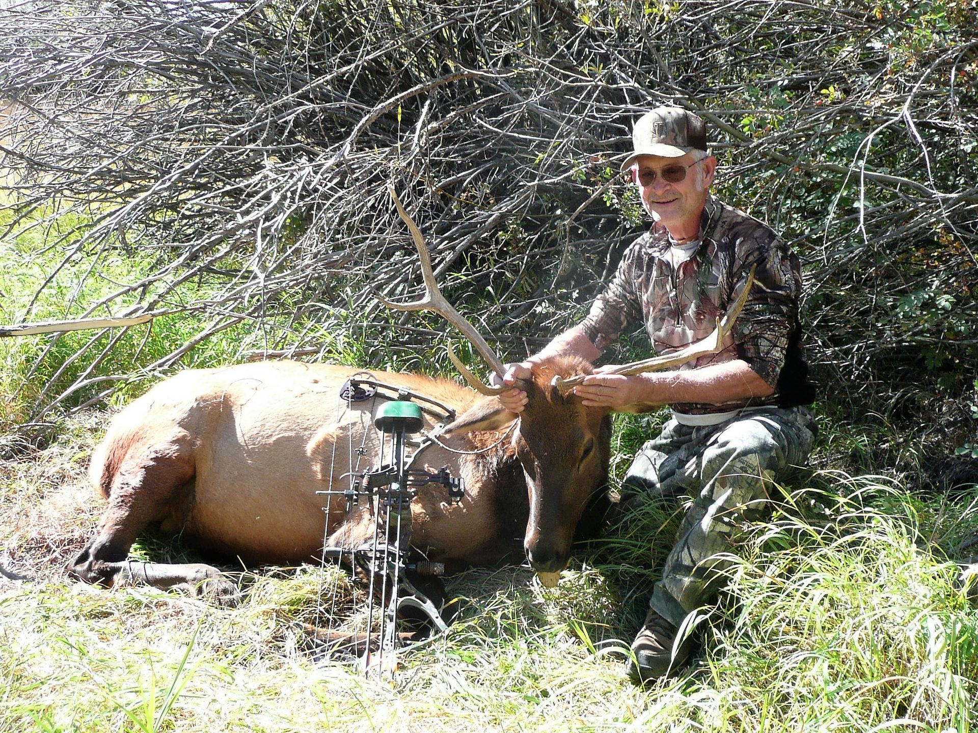 Elk Gallery Image