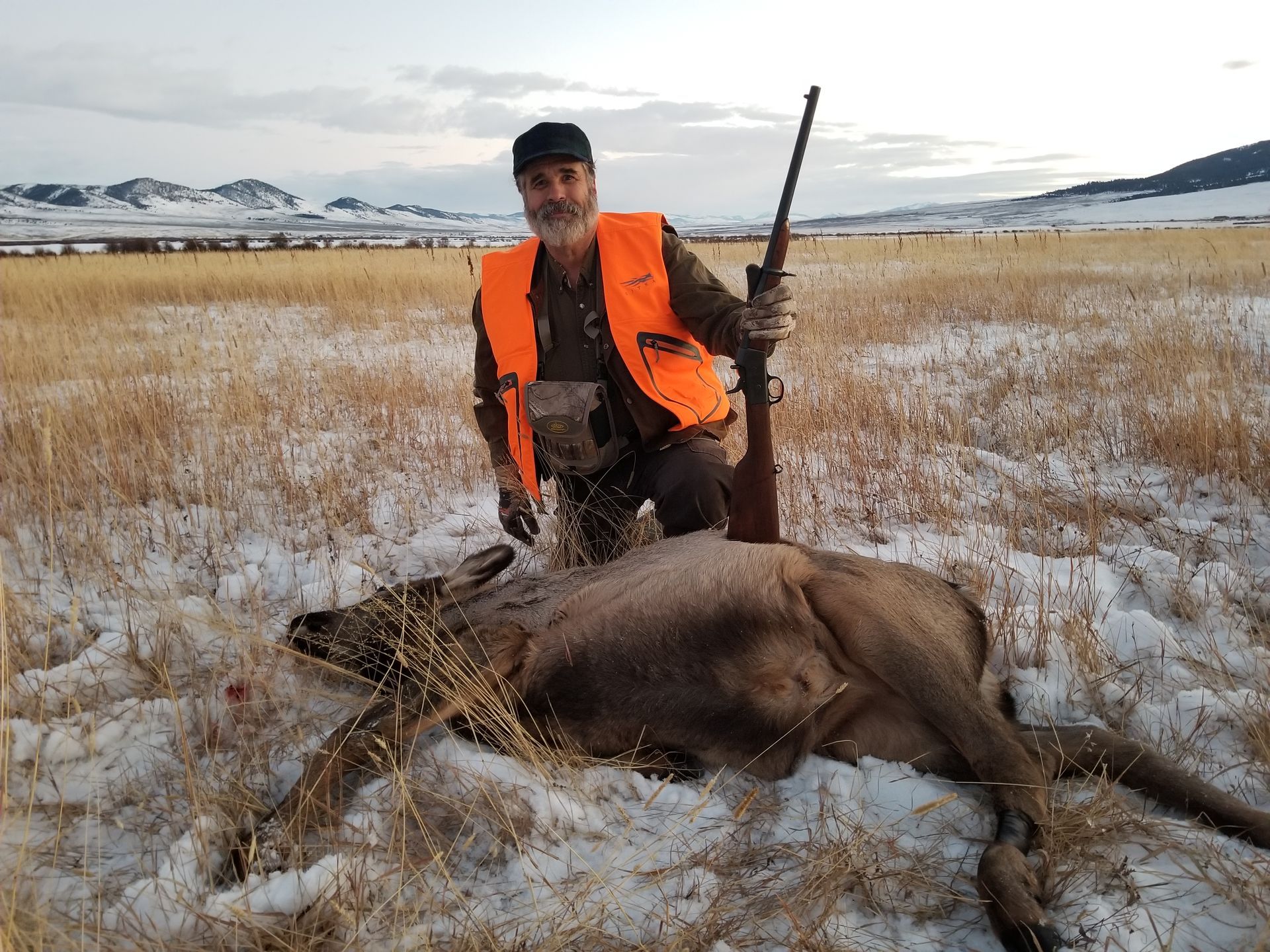 Elk Gallery Image