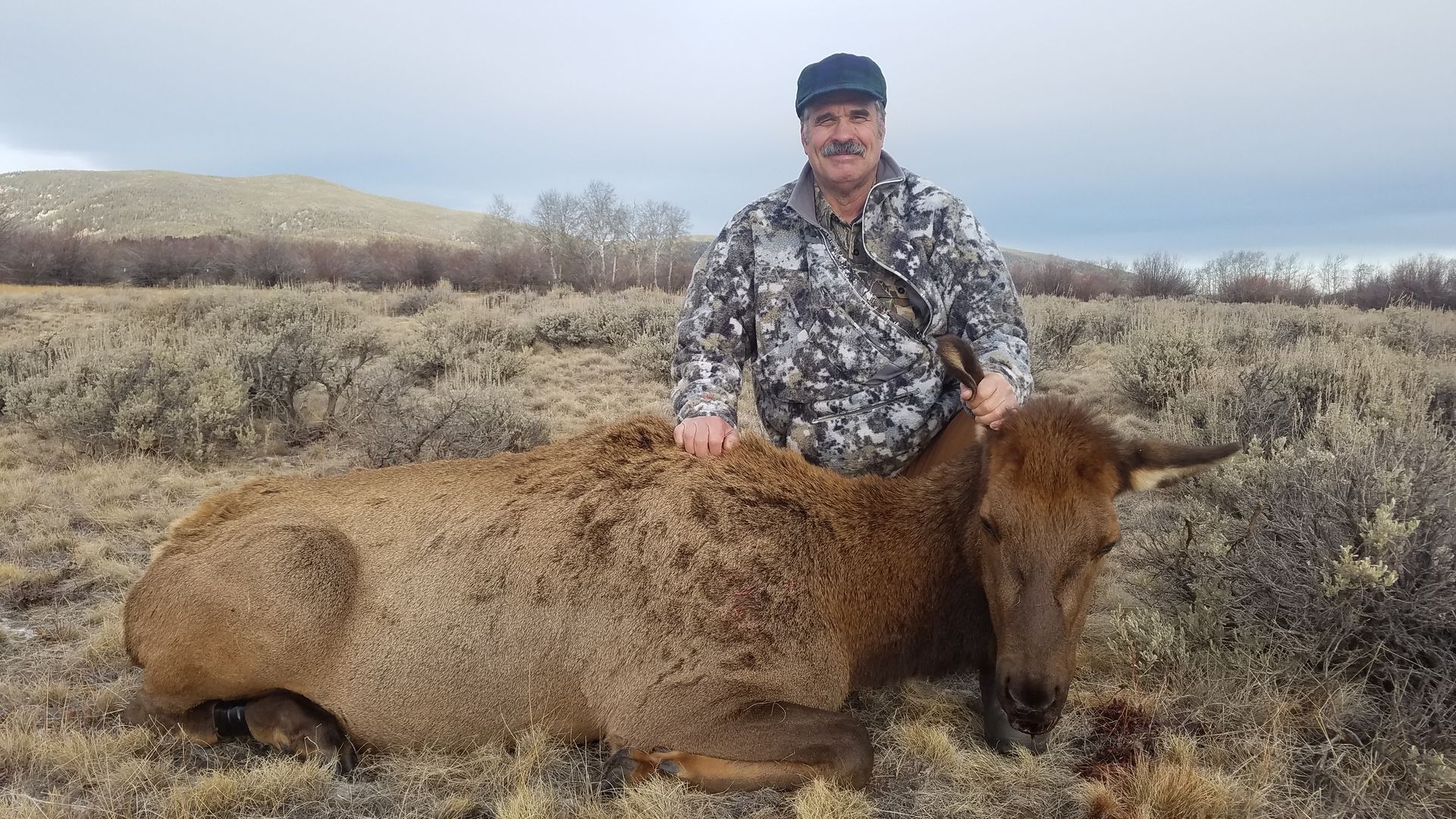 Elk Gallery Image