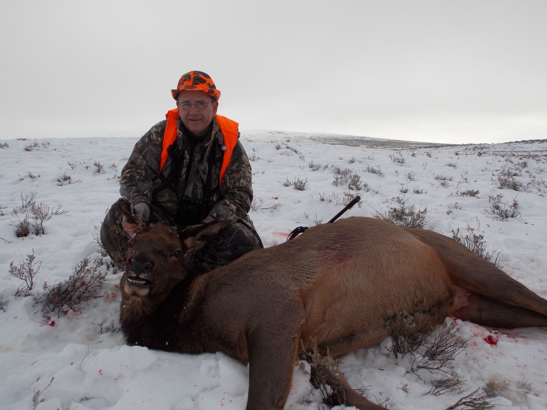 Elk Gallery Image