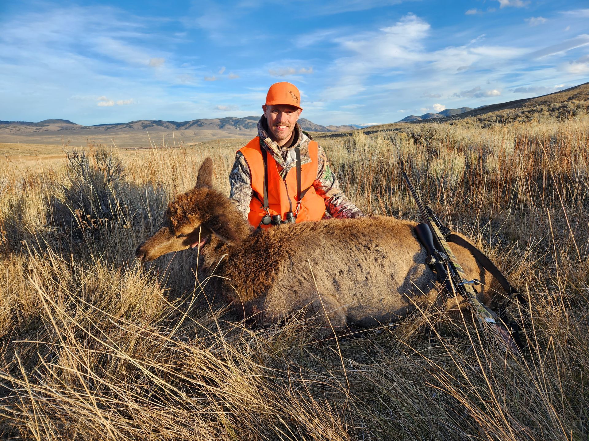 Elk Gallery Image
