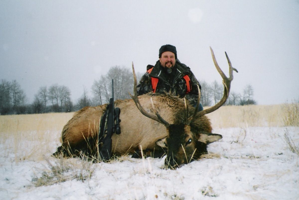 Elk Gallery Image