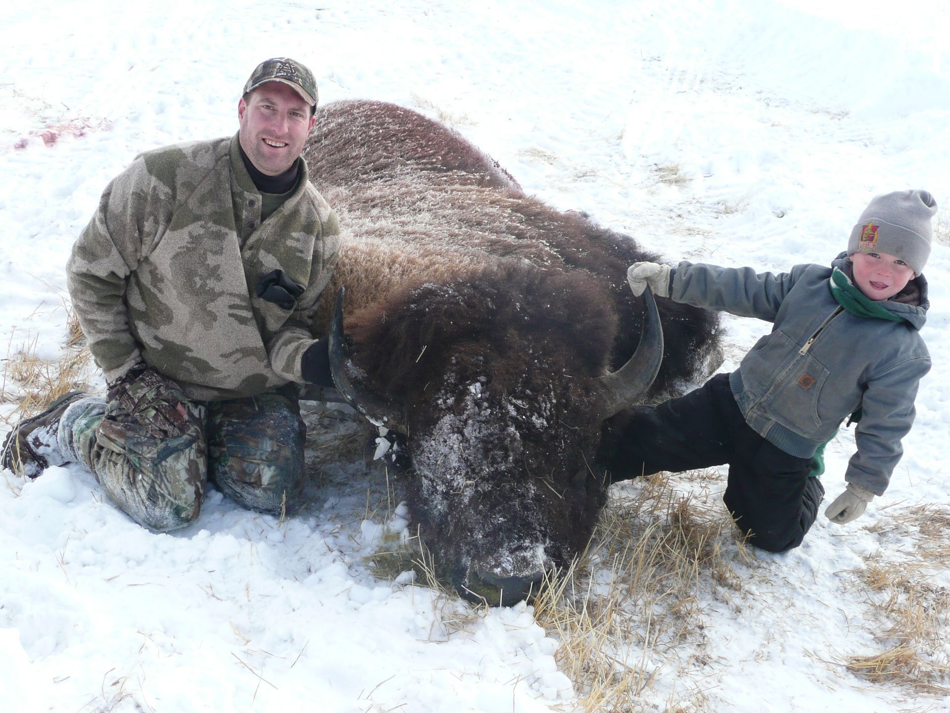 Elk Gallery Image