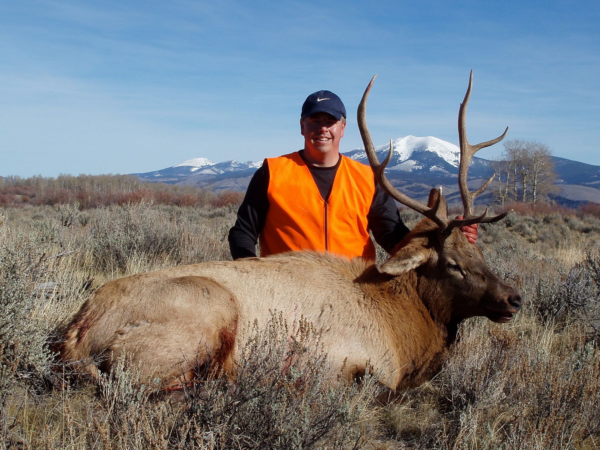 Elk Gallery Image