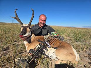 Antelope